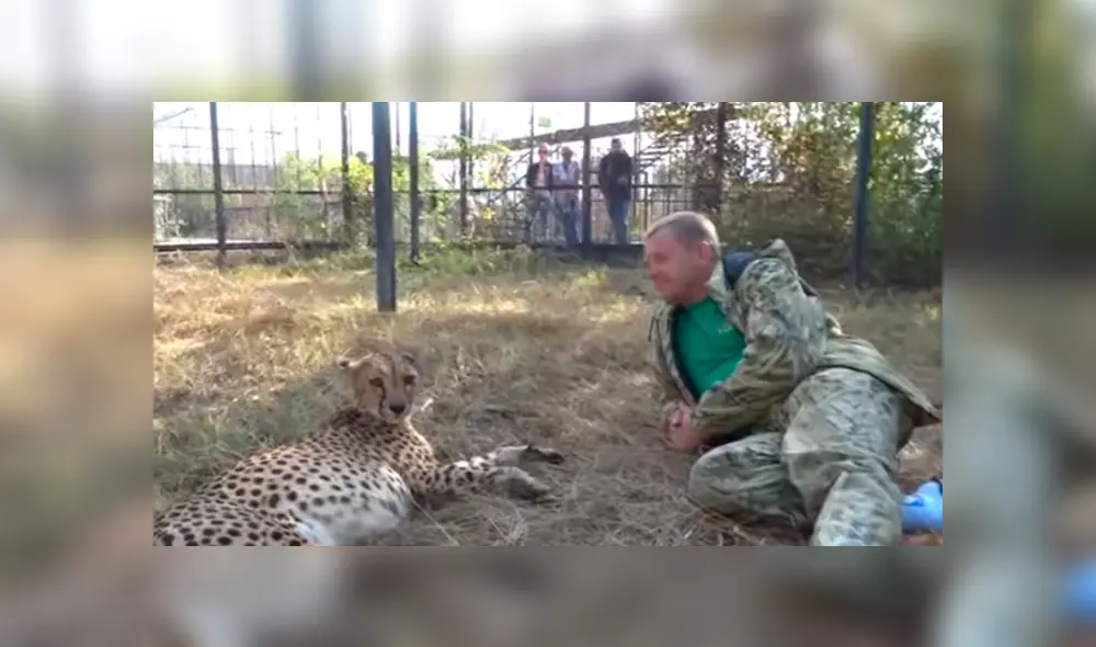 Desliza hacia la izquierda para ver el emotivo reencuentro del guepardo con el hombre. Video viral de Facebook. Desliza hacia la izquierda para ver el emotivo reencuentro del guepardo con el hombre. Video viral de Facebook.
