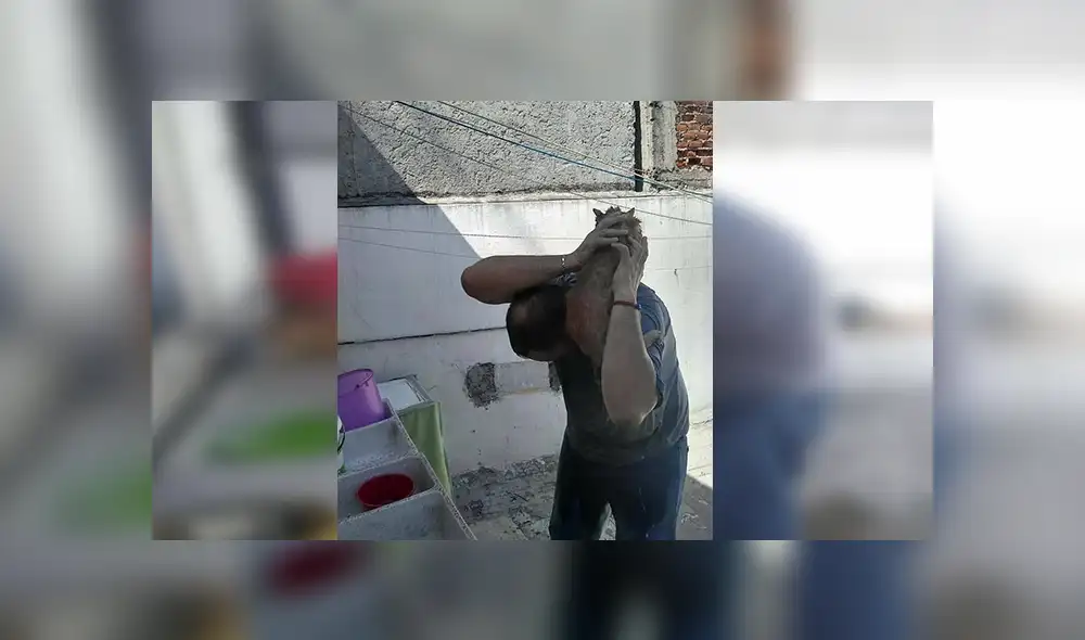 Facebook viral: señor encuentra a gato abandonado, lo lleva a su casa y sucede lo peor [VIDEO]