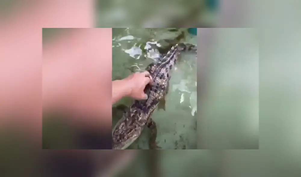 Desliza hacia la izquierda para ver las imágenes del viral de YouTube. Desliza hacia la izquierda para ver las imágenes del viral de YouTube.