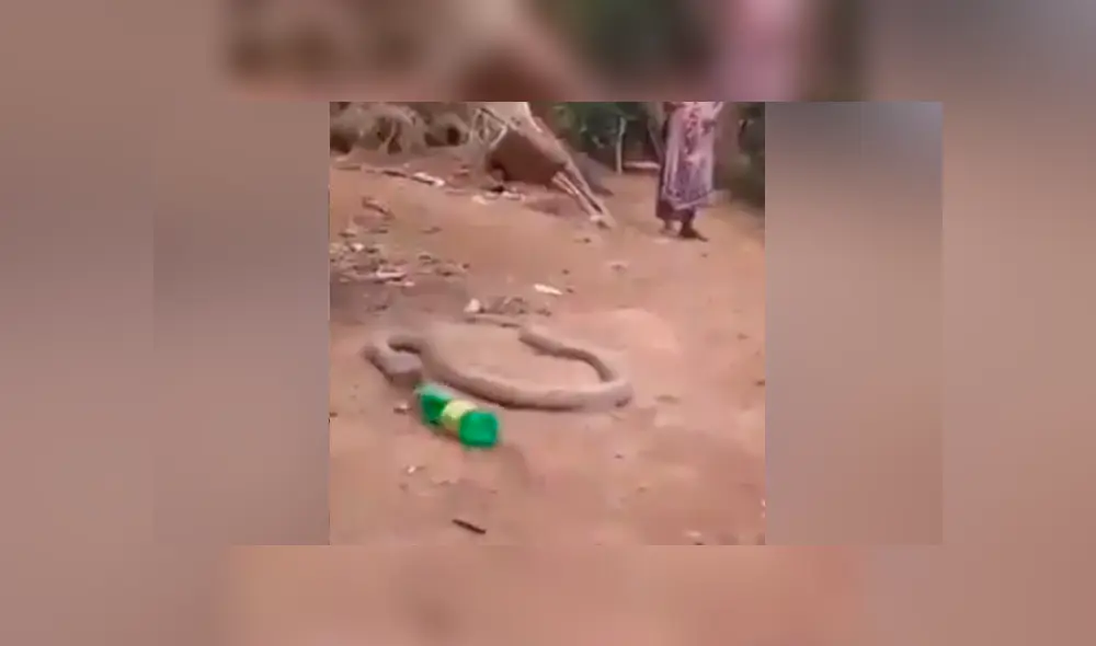 Desliza para ver los momentos más impactantes del video que se hizo viral en Facebook.