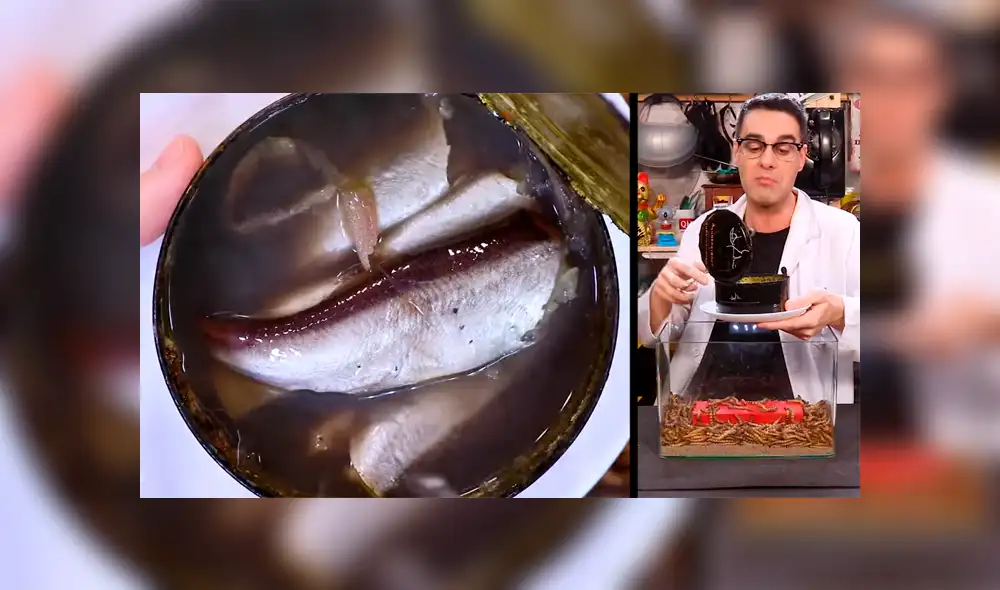 YouTube: Lanzan comida en lata dentro de envase con supergusanos carnívoros y sucede algo inesperado [VIDEO]