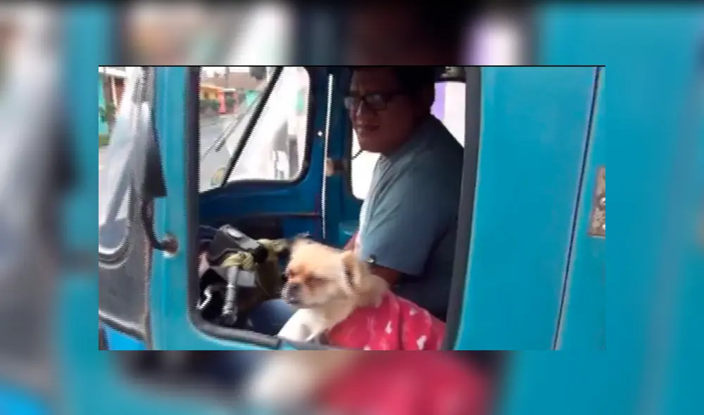 En Facebook, un peruano recorre las calles de Huacho al lado de su inseparable mascota de nombre ‘Pepa’.