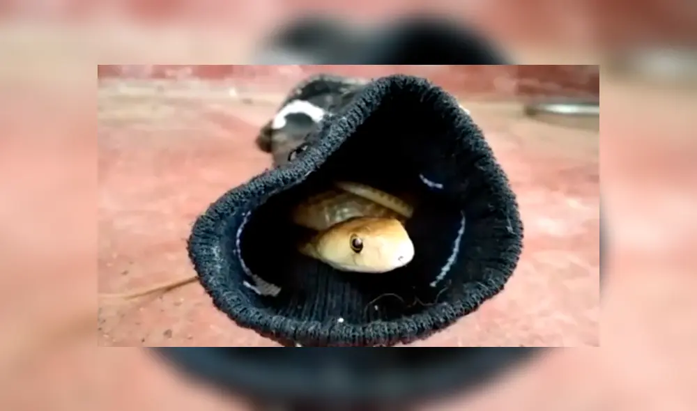 Desliza la imagen compartida en YouTube para verlas todas. Desliza la imagen compartida en YouTube para verlas todas.