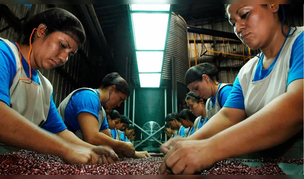 2019: Feriados largos y días no laborables en Perú