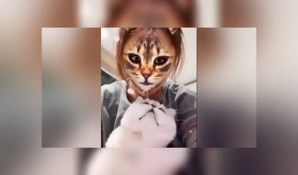 Desliza hacia la izquierda para ver la reacción que tuvo el felino al ver el filtro del gato que se ha vuelto viral en Facebook. Desliza hacia la izquierda para ver la reacción que tuvo el felino al ver el filtro del gato que se ha vuelto viral en Facebook.