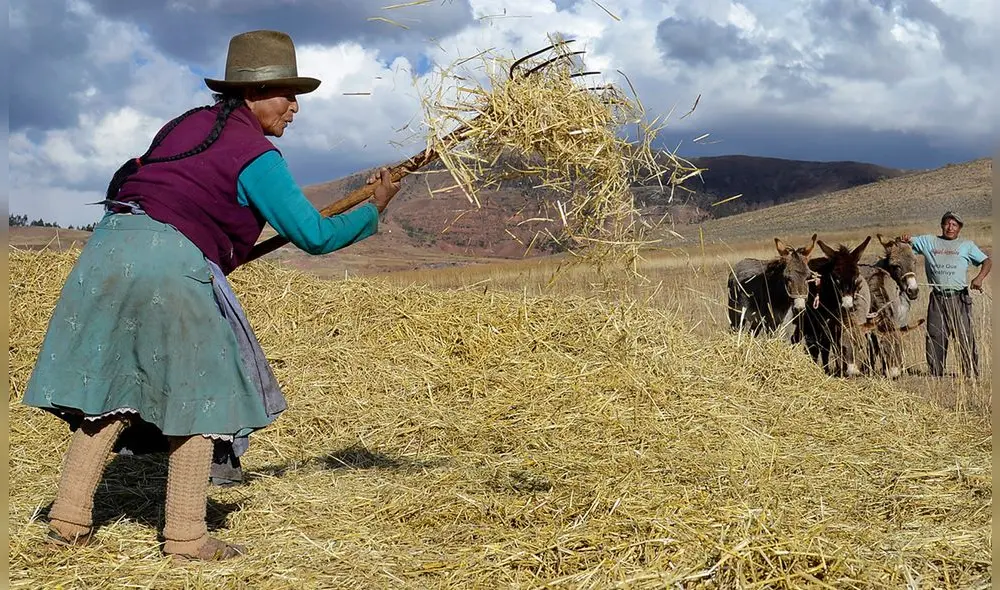 El  24 de junio se celebra el Día del Campesino. Foto: LR
