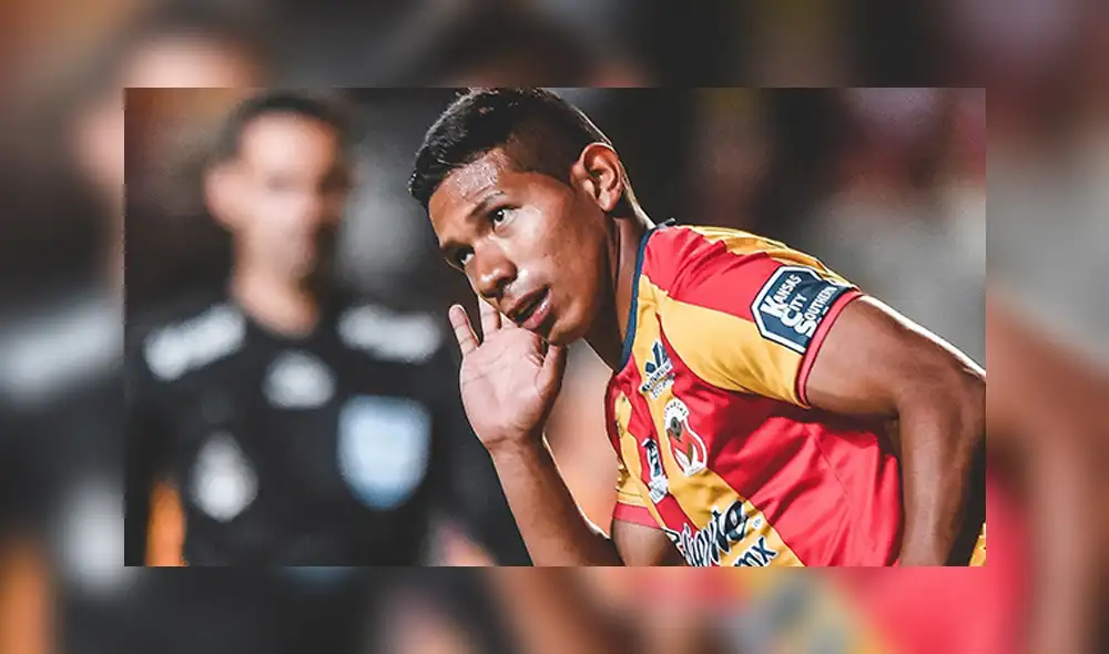 Oreja Flores Oreja Flores