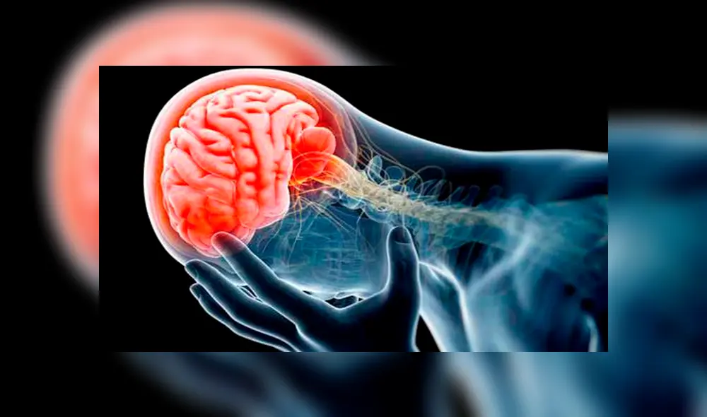 Ameba 'come cerebros': ¿Qué es, cuáles son los síntomas y cómo se contagia?