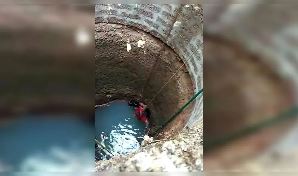 Desliza para enterarte cómo logra esta mujer rescatar a un pobre perrito atrapado en el fondo de un pozo. Foto: Captura. Desliza para enterarte cómo logra esta mujer rescatar a un pobre perrito atrapado en el fondo de un pozo. Foto: Captura.