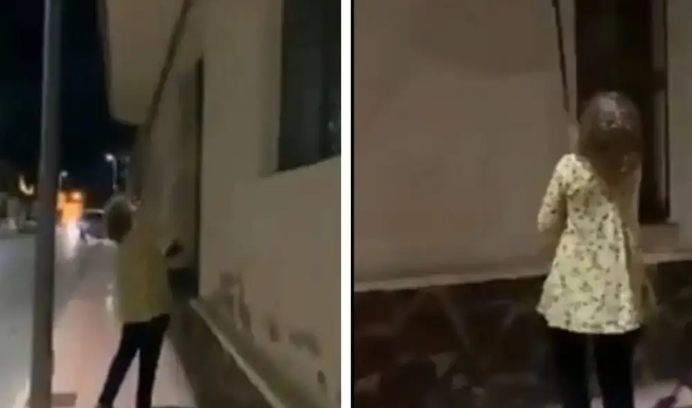 Mujer destruyó 50 nidos de golondrinas, aves que se encuentran protegidas en España. Foto: Captura Twitter Mujer destruyó 50 nidos de golondrinas, aves que se encuentran protegidas en España. Foto: Captura Twitter