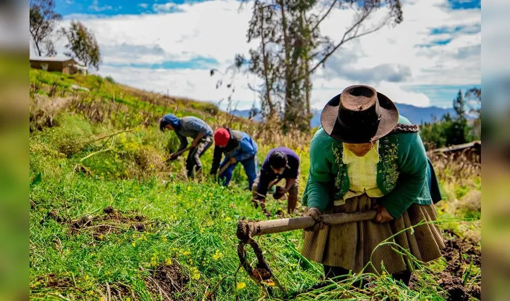 Agricultores Agricultores