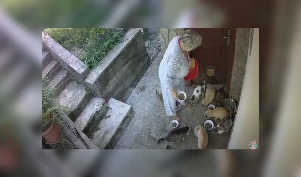 Desliza hacia la izquierda para ver las imágenes del viral de YouTube.