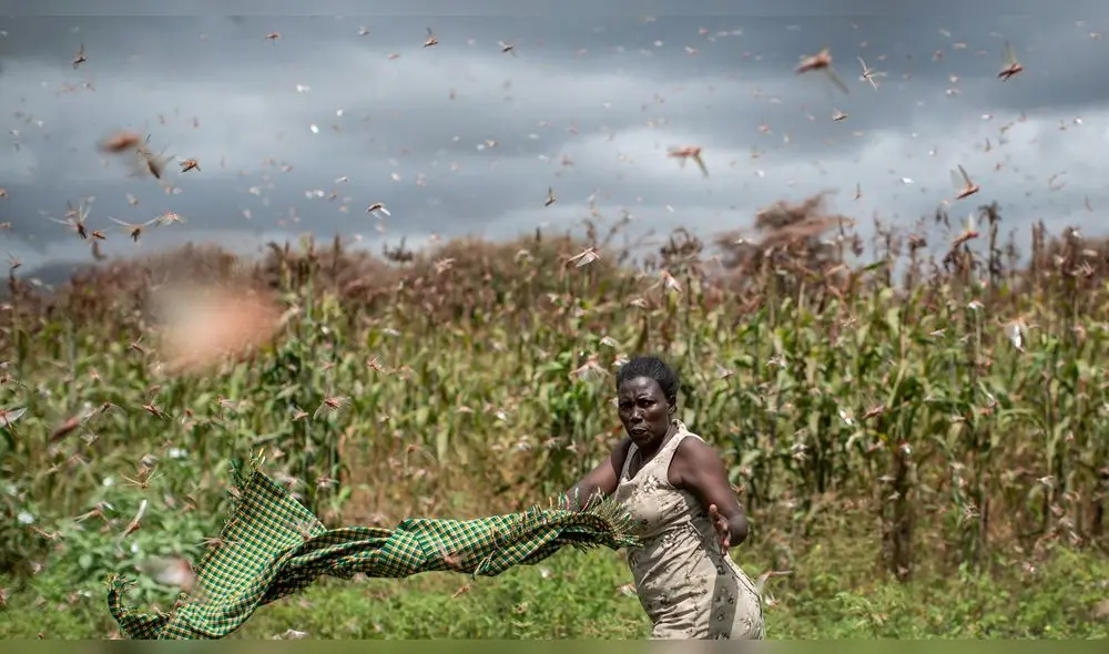 Foto: Difusión. Foto: Difusión.