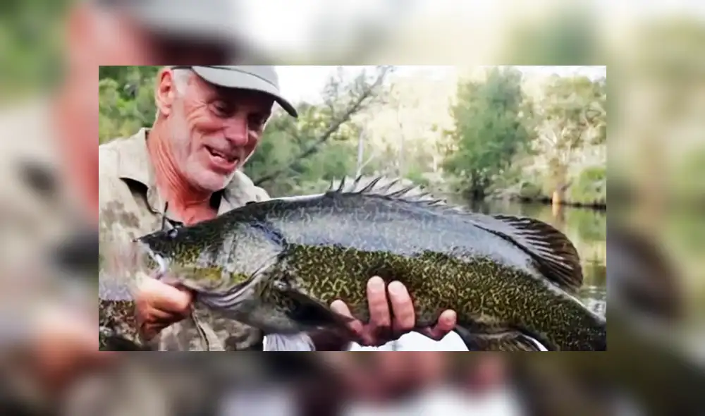 Desliza hacia la izquierda para ver al enrome pez que se hizo viral en YouTube. Desliza hacia la izquierda para ver al enrome pez que se hizo viral en YouTube.