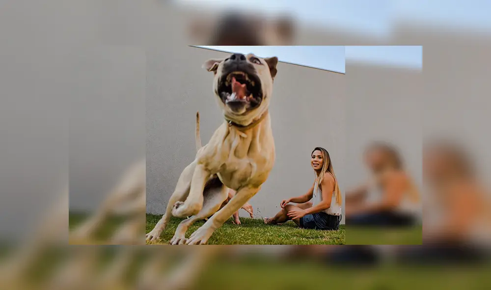 En Facebook, un travieso perro arruinó la sesión de fotos de sus dueños al colocarse delante de la cámara.