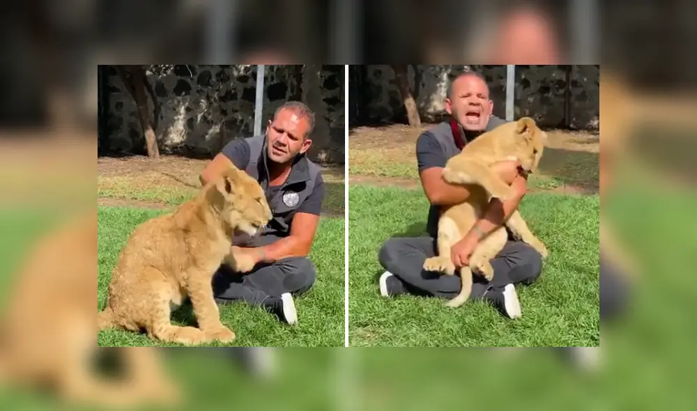 Desliza hacia la izquierda para ver las imágenes del viral de Youtube. Foto: Captura. Desliza hacia la izquierda para ver las imágenes del viral de Youtube. Foto: Captura.
