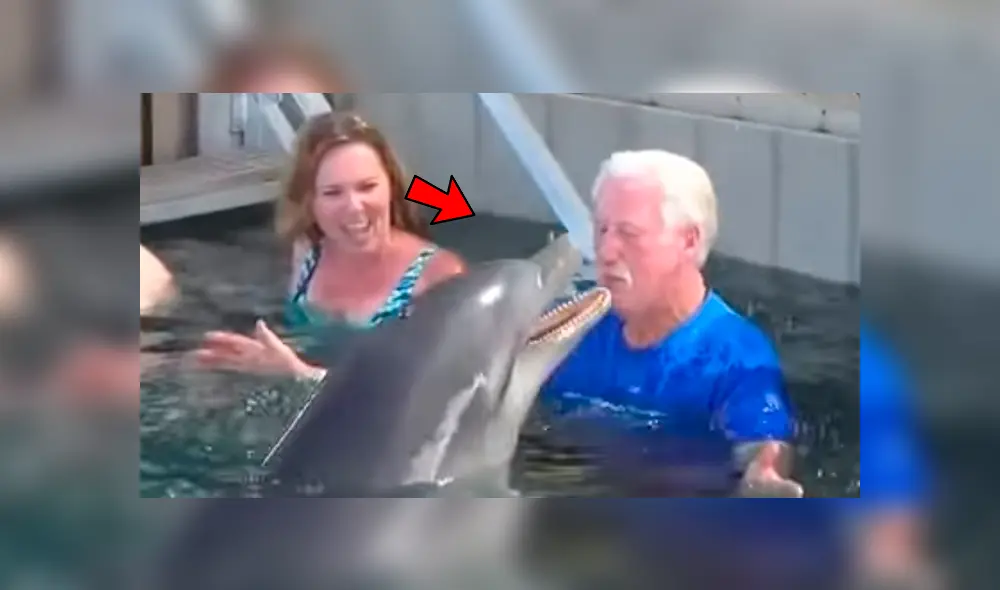 Facebook viral: delfín y anciano protagonizan tierna 'pelea' acuática y enternecen a miles [VIDEO]