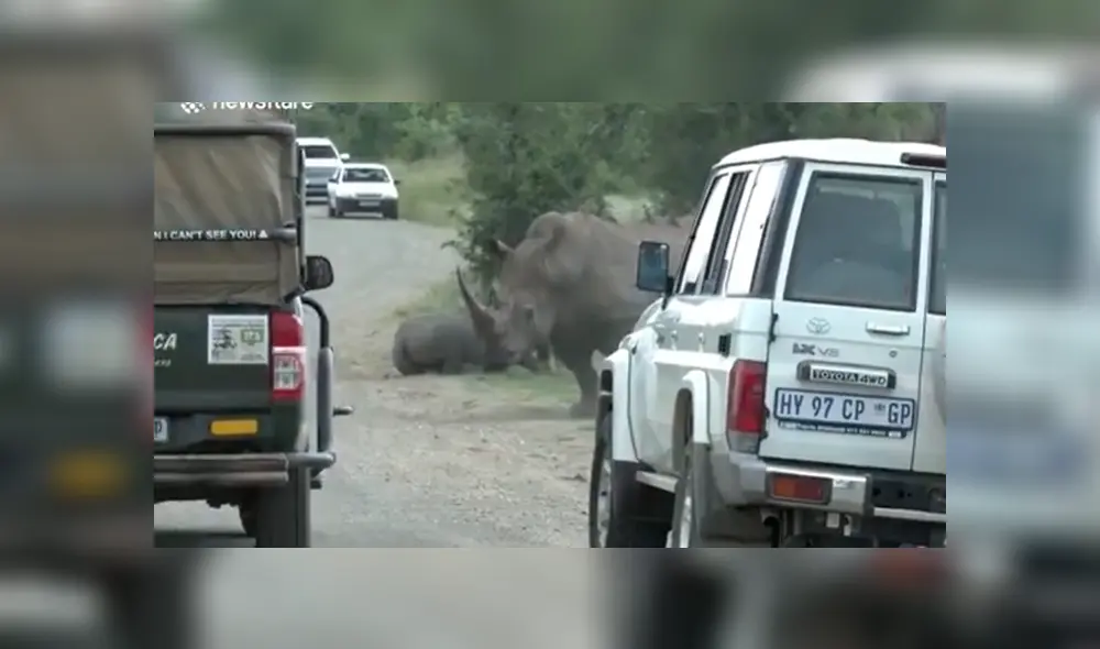 Desliza para ver todas las imágenes de YouTube. Foto: captura Desliza para ver todas las imágenes de YouTube. Foto: captura