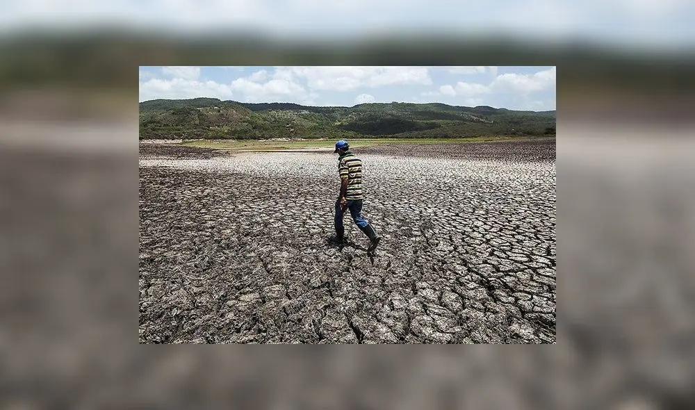 Midagri transfiere más de S/ 341 millones para pago de bono por sequía a agricultores y ganaderos Midagri transfiere más de S/ 341 millones para pago de bono por sequía a agricultores y ganaderos