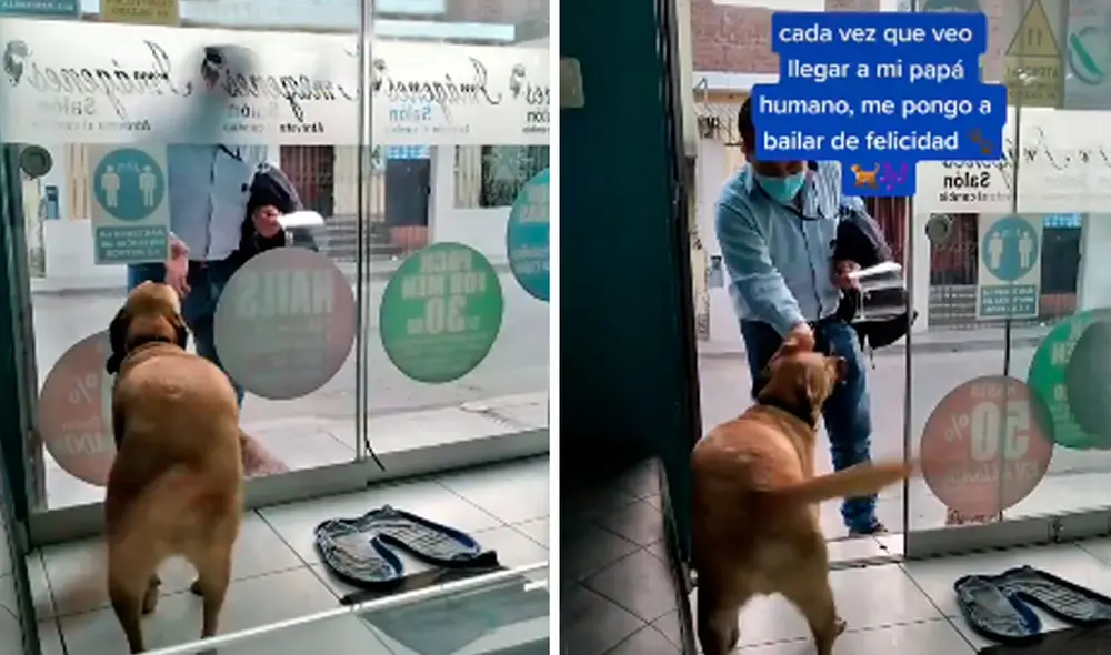 Desliza las imágenes hacia la izquierda para apreciar la emoción de un perro cuando volvió a ver a su dueño. Foto: Captura de Facebook Desliza las imágenes hacia la izquierda para apreciar la emoción de un perro cuando volvió a ver a su dueño. Foto: Captura de Facebook