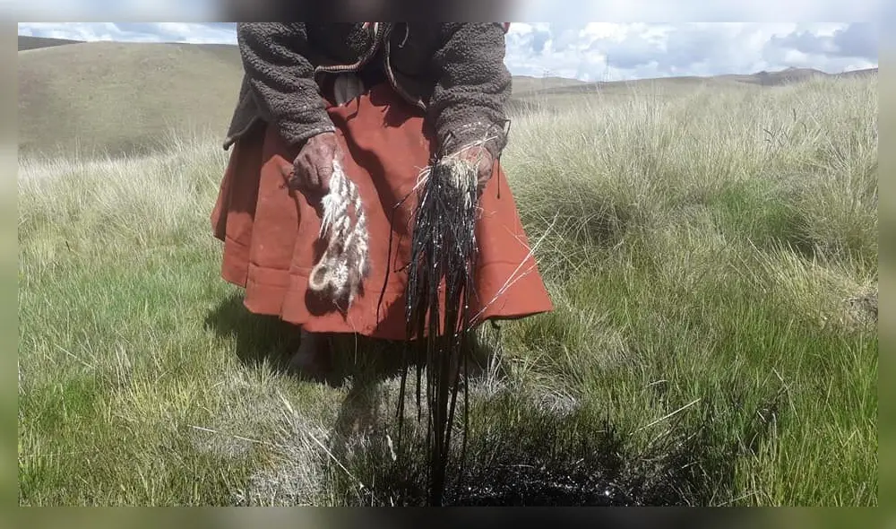Cusco. Comuneros observan los graves daños provocados a sus pastizales.