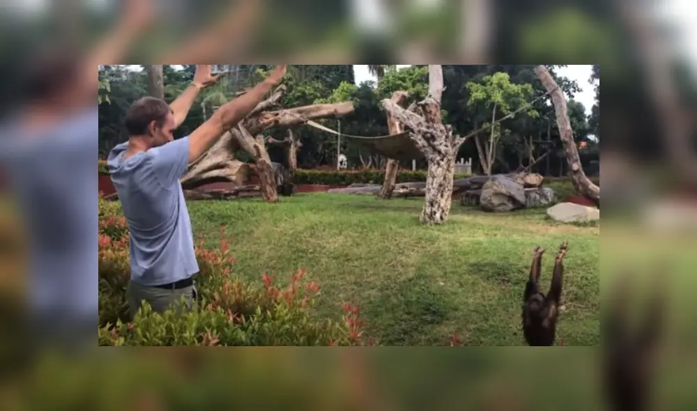 Desliza hacia la izquierda para ver más del video viral. Fotocaptura: YouTube Desliza hacia la izquierda para ver más del video viral. Fotocaptura: YouTube