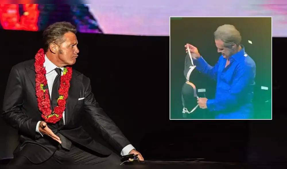 Luis Miguel: fanática interrumpe su concierto tras lanzarle un brasier 