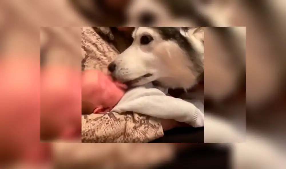 Desliza a la izquierda para ver el gesto que conmovió a los usuarios de Facebook. Foto: Captura. Desliza a la izquierda para ver el gesto que conmovió a los usuarios de Facebook. Foto: Captura.