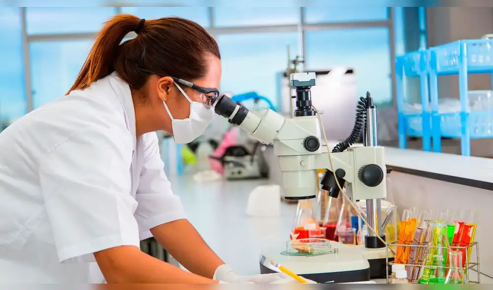 Lanzan concurso para cofinanciar emprendimientos hasta por 140 mil soles