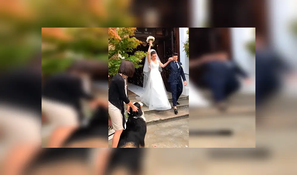 En YouTube, un perro felicitó con un amoroso abrazo a sus dueños en el día de su matrimonio. En YouTube, un perro felicitó con un amoroso abrazo a sus dueños en el día de su matrimonio.
