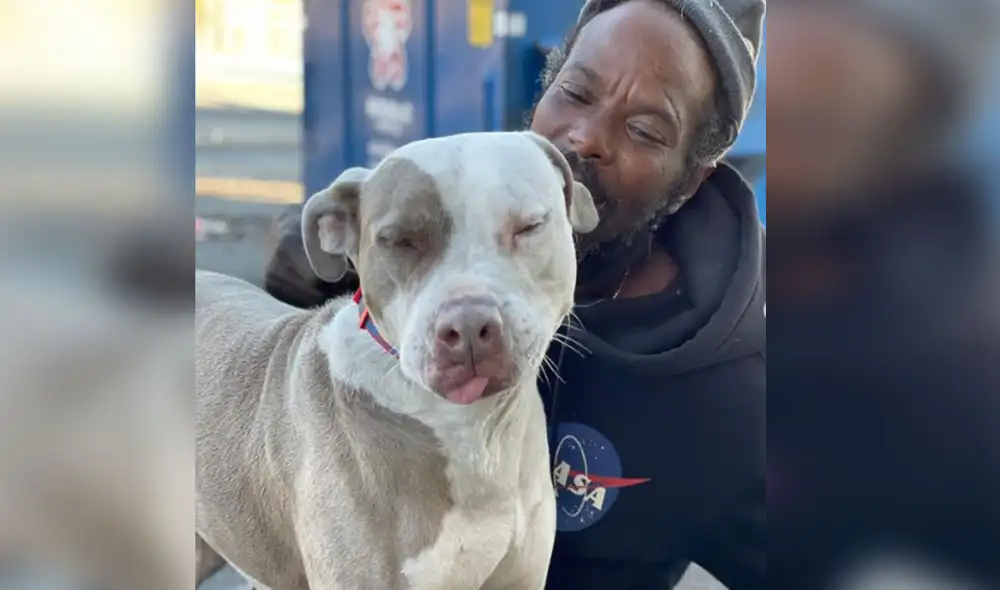 Desliza las imágenes par ver más sobre esta conmovedora historia que se hizo viral en redes sociales. Foto: @thewunderdogs / Instagram