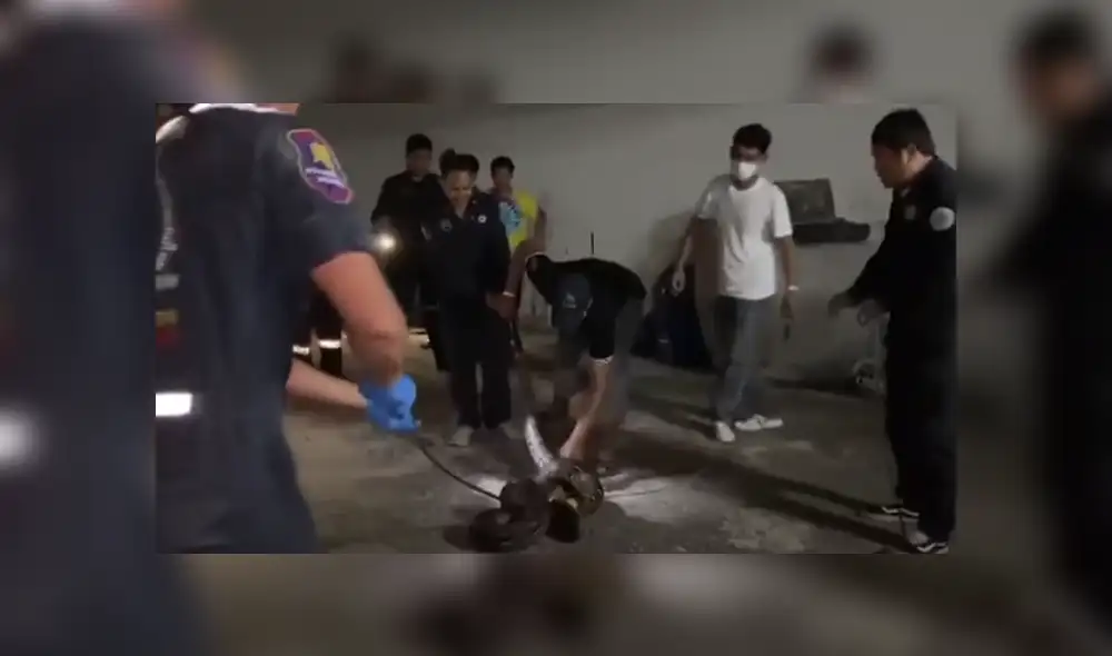 Desliza hacia la izquierda para ver las imágenes del viral de YouTube. Foto: Captura. Desliza hacia la izquierda para ver las imágenes del viral de YouTube. Foto: Captura.