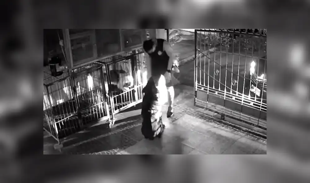En Facebook se compartió el registro de una cámara de seguridad que muestra la reacción de dos perros al ver a su dueño.
