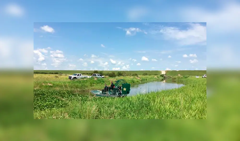 Cocodrilo se comió parte del cuerpo de un hombre que murió por sobredosis de droga Cocodrilo se comió parte del cuerpo de un hombre que murió por sobredosis de droga