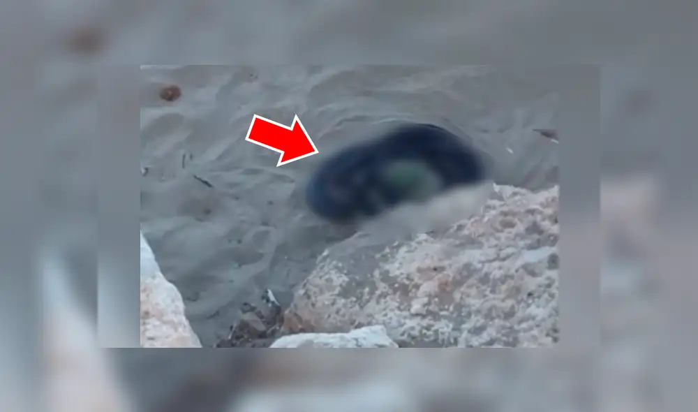 YouTube viral: misteriosas criaturas negras surgen de enormes rocas y aterran a turistas [VIDEO]