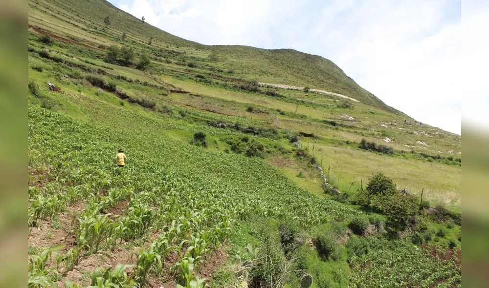 Ratcay es una de las comunidades en el Perú que todavía no presenta casos de coronavirus. (Foto: Facebook Huamanpallpa - Ratcay)