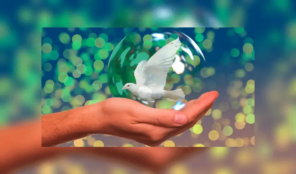 Día Internacional de la Paz: origen de esta importante fecha y cuál es su significado Día Internacional de la Paz: origen de esta importante fecha y cuál es su significado