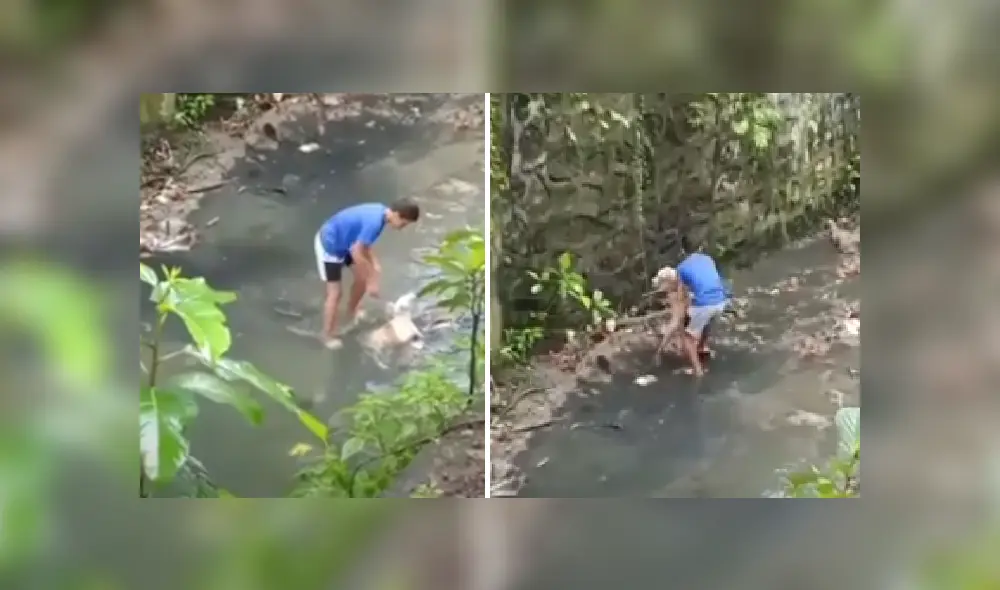 Desliza para ver más imágenes que muestran el valiente gesto de este menor. (captura / YouTube)