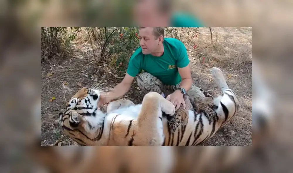 Desliza hacia la izquierda para ver las escenas del video viral de YouTube.