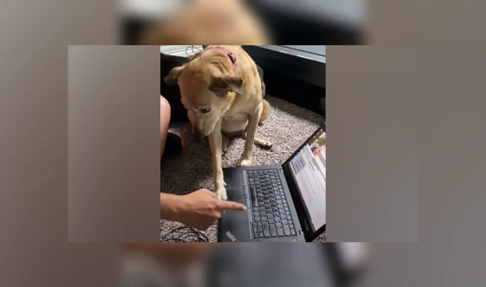 Desliza hacia la izquierda para ver las imágenes del viral de YouTube. Foto: Captura.