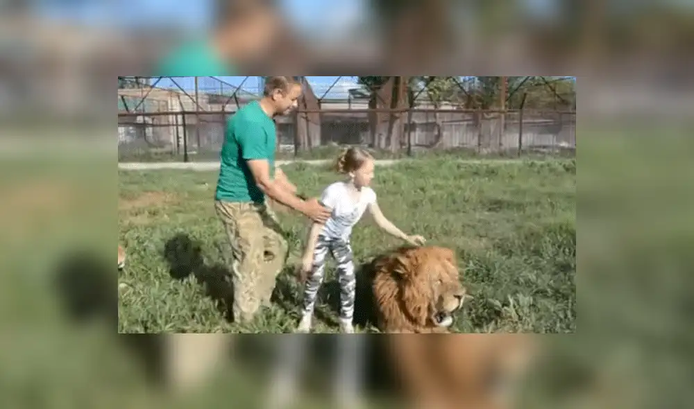 YouTube viral: Niña entra a calabozo de leones y la reacción de estos deja impactados a todos [VIDEO]
