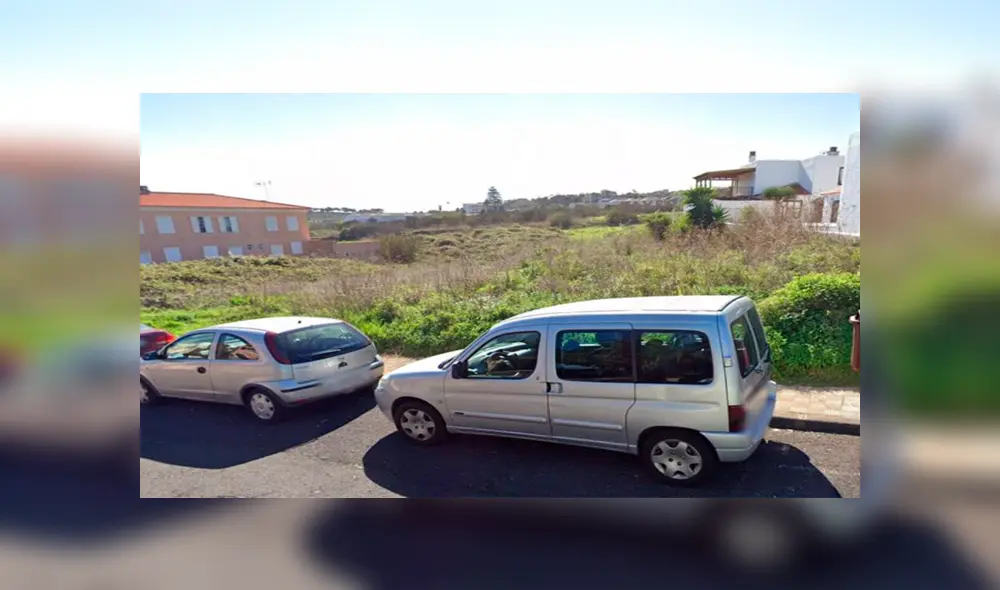 Lo acuchillan en descampado y termina siendo devorado por perros salvajes [VIDEO] 