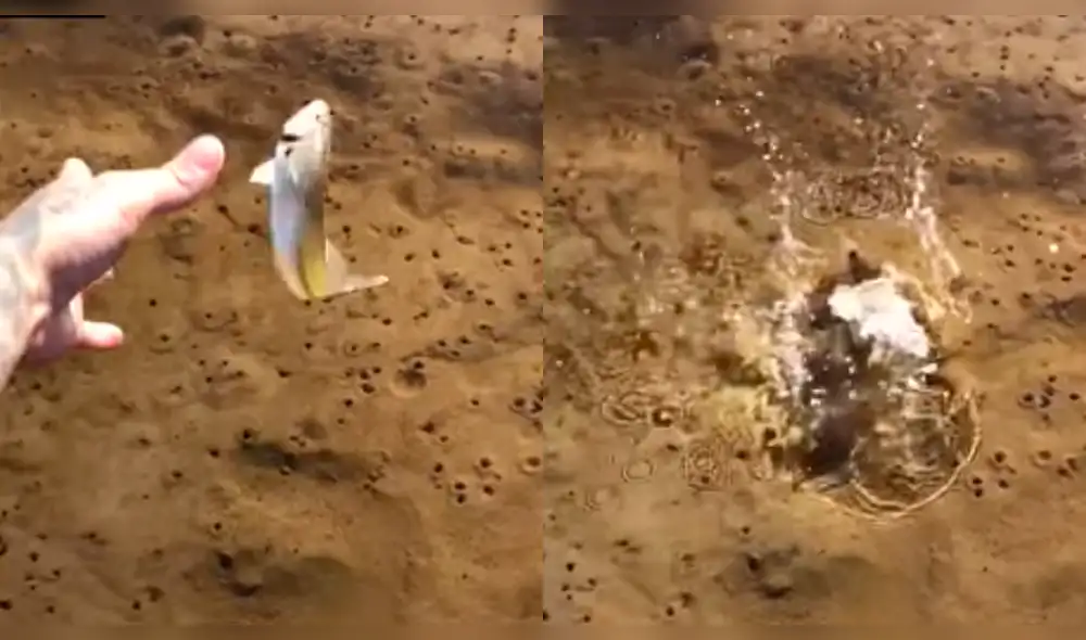 Facebook: se asustó al regresar un pez a lago y ocurre algo espeluznante [VIDEO]
