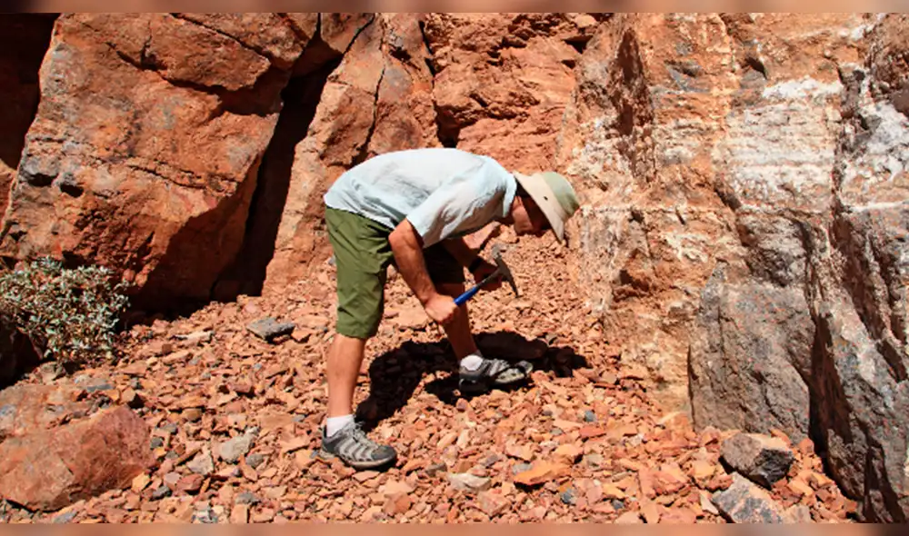 Estas son las carreras mejores pagadas del Perú