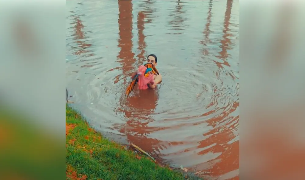 Desliza las imágenes para ver al joven solidario que salvó a los dos guacamayos de un lago en Brasil. Foto: Facebook