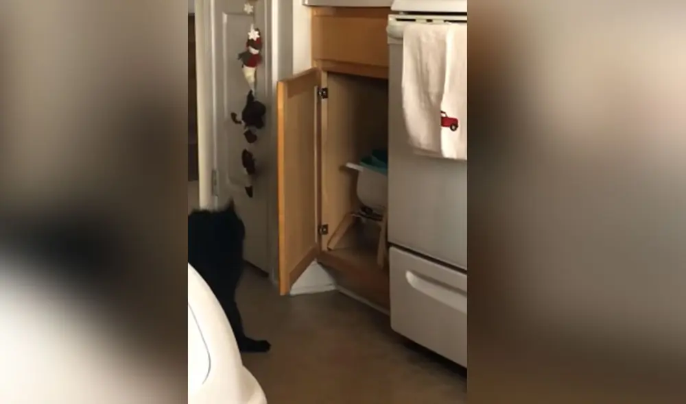 Desliza las imágenes para ver más detalles sobre esta curiosa escena que es viral en redes sociales. Foto: captura de YouTube Desliza las imágenes para ver más detalles sobre esta curiosa escena que es viral en redes sociales. Foto: captura de YouTube