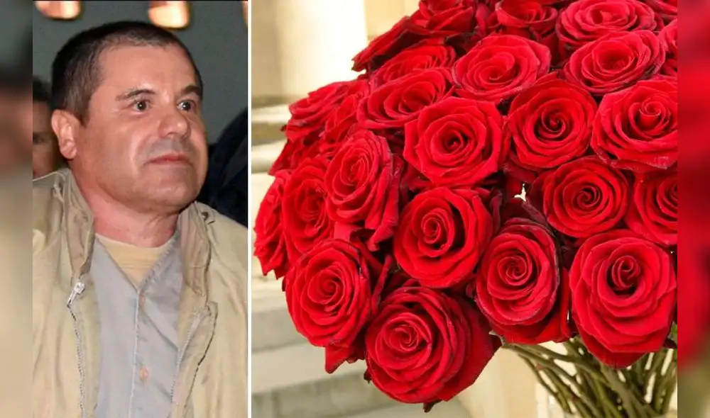 Chapo rosas mujer Chapo rosas mujer