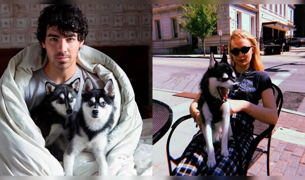 Sophie Turner y Joe Jonas se hacen el mismo tatuaje en homenaje a Waldo