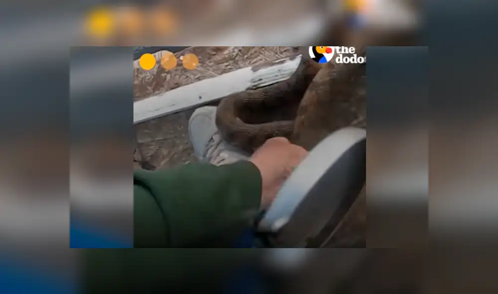 Desliza hacia la izquierda para ver la espeluznante escena que se volvió viral en YouTube. Desliza hacia la izquierda para ver la espeluznante escena que se volvió viral en YouTube.