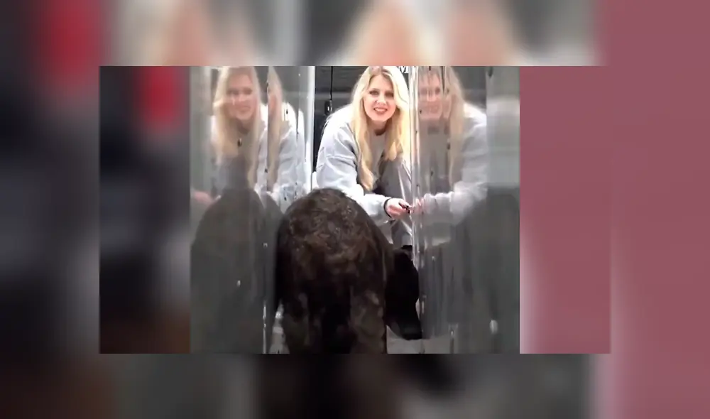 Desliza hacia la izquierda para ver el conmovedor rescate del video viral de Facebook.